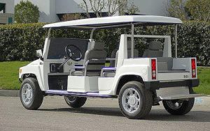 affordable golf cart rental, golf cart rent melbourne, cart rental melbourne