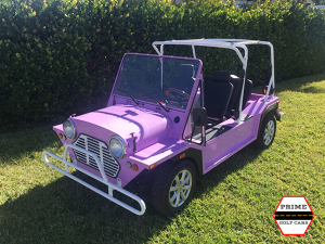 affordable golf cart rental, golf cart rent melbourne, cart rental melbourne