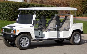 affordable golf cart rental, golf cart rent melbourne, cart rental melbourne