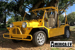 golf cart rental melbourne, melbourne golf cart rental, street legal golf car