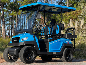 melbourne golf cart rental, golf cart rental, golf cars for rent